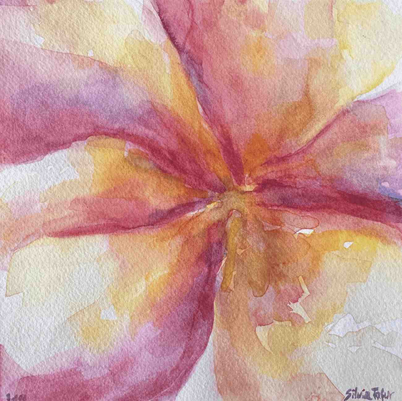 Frangipani, watercolor painting. Windsor &Newton wc on acid free 300 gr. 6X6Go to Page