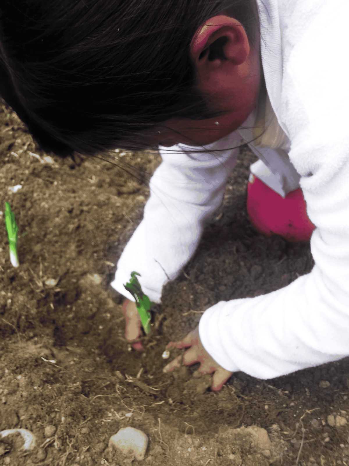 Community outreach program in Llupa, Huaraz, Peru. 2013. Creating a school garden.Go to Page