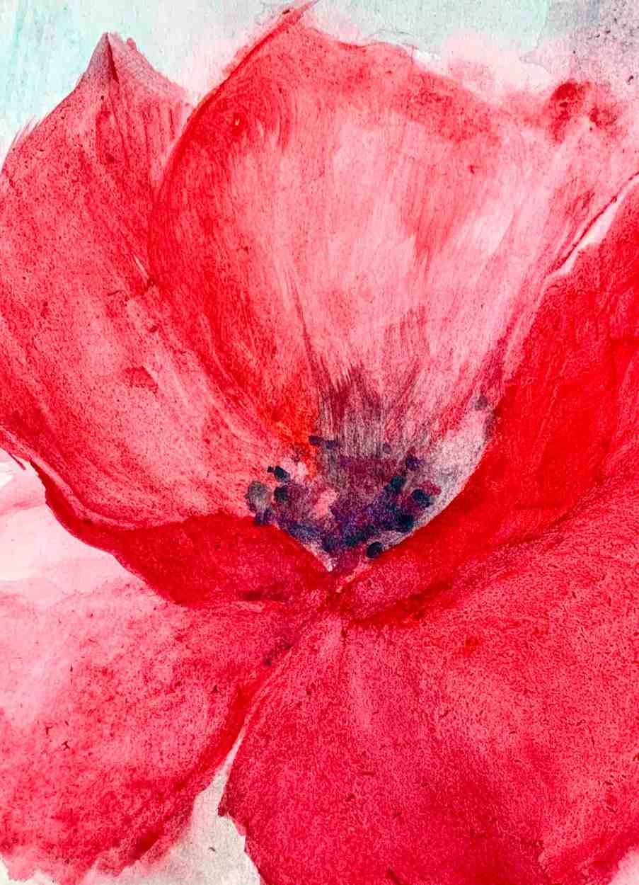 Red poppy, a november painting on watercolor and watercolor pencils.Go to Page