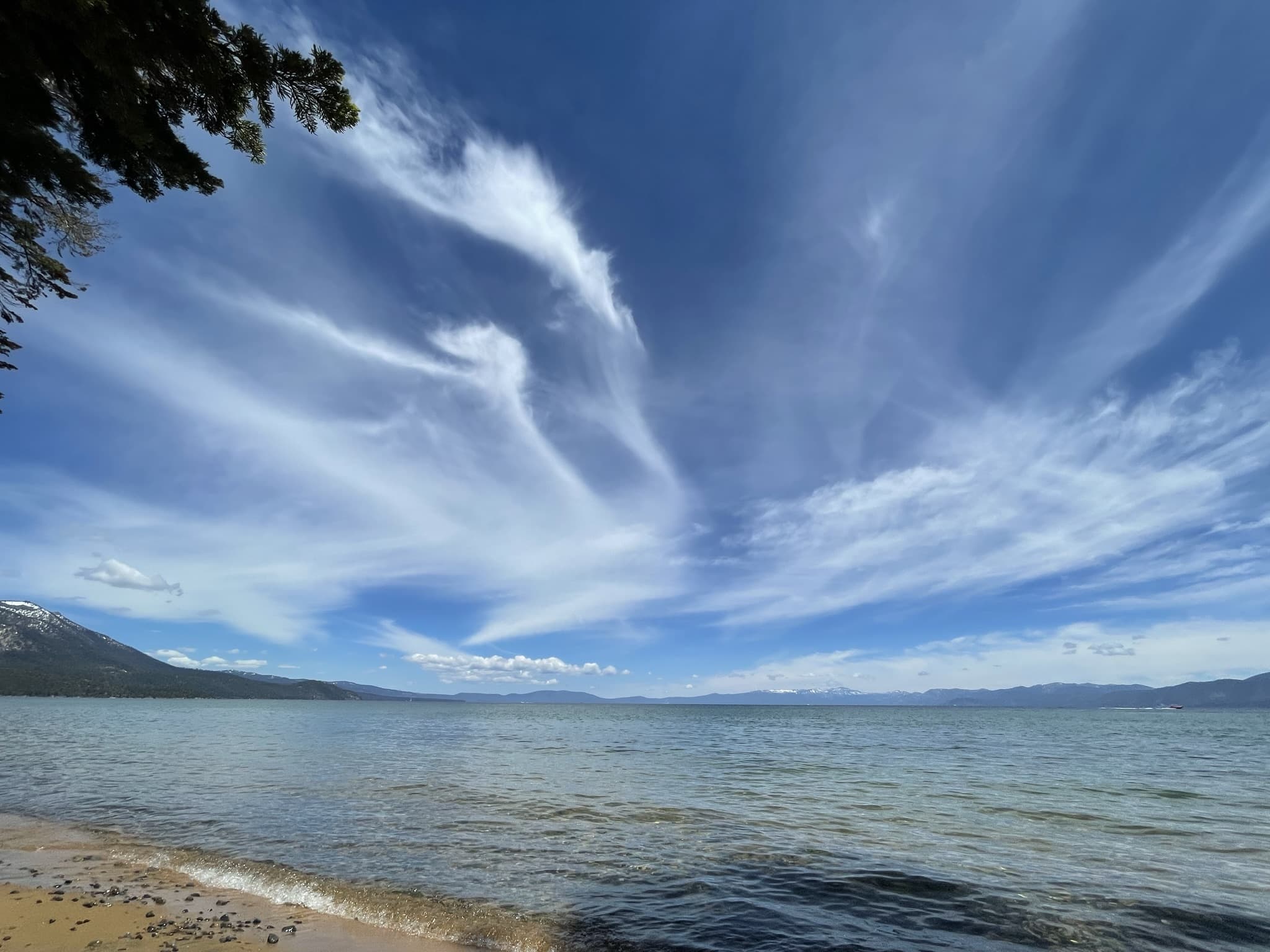 Photography (2022). A visit to Lake Tahoe.Go to Page