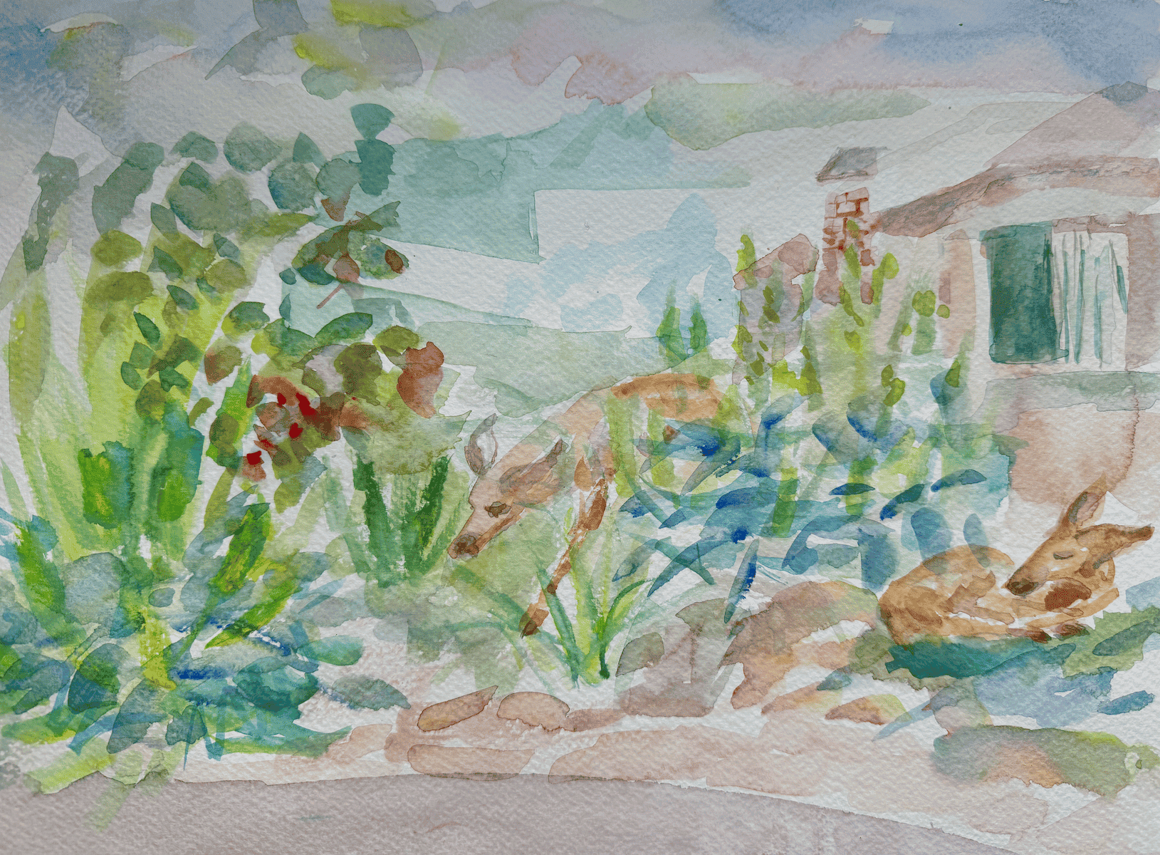 "Deer in the neighborhood" (2024) Winsor & Newton watercolor on Fabriano acid free cold press 300 grGo to Page