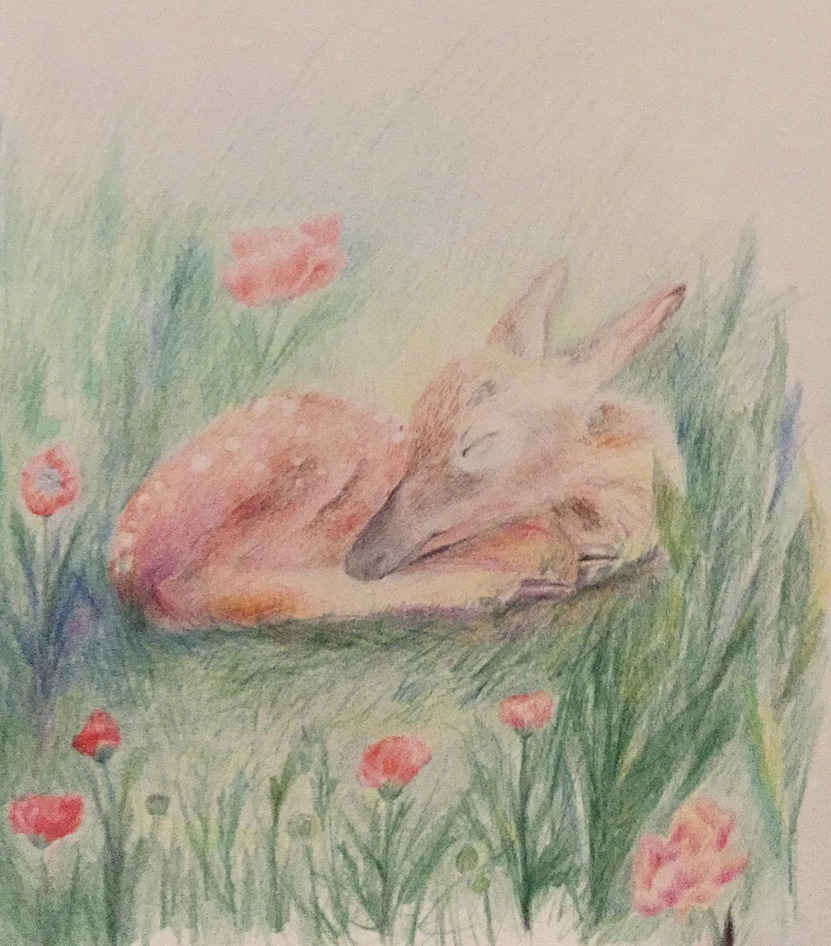"Sleeping deer" (2019), pencil colors 9x9 in.Go to Page